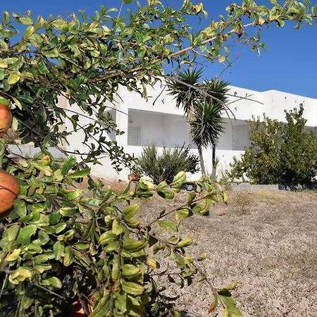 Prika Studios Kéfalos Dış mekan fotoğraf